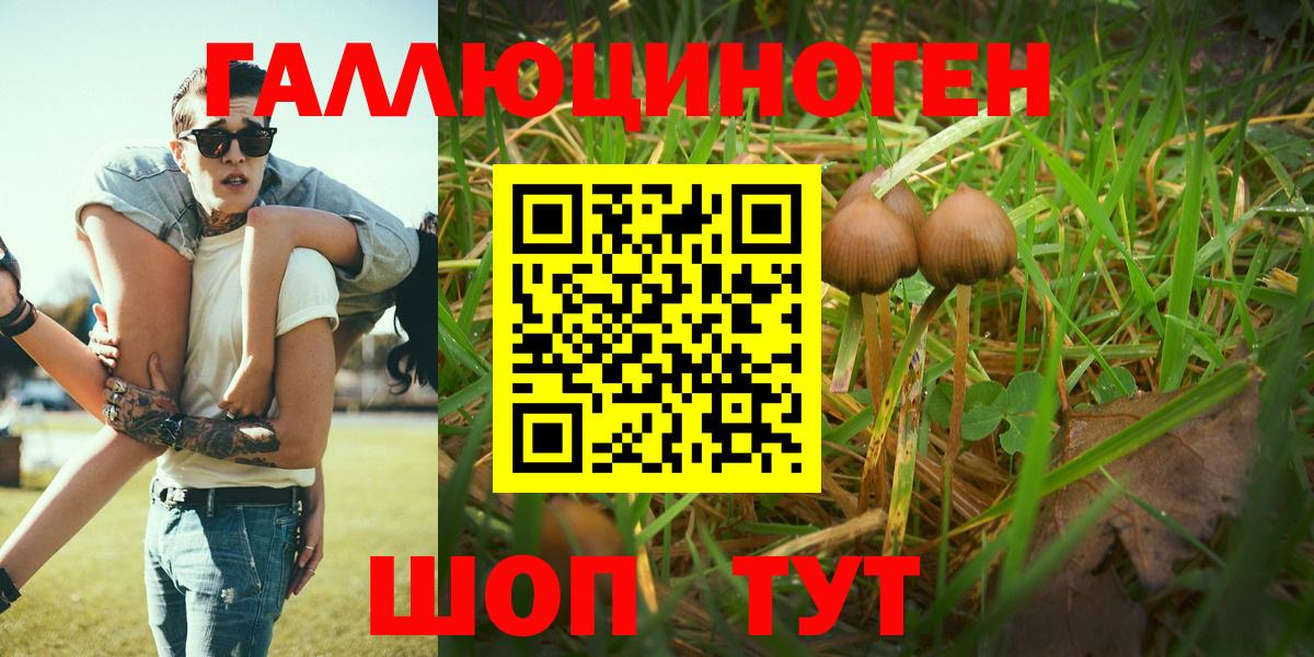 Галлюциногенные грибы Psilocybe  Вход с VPN  Михайловка  Псилоцибиновые грибы MAGIC MUSHROOMS 