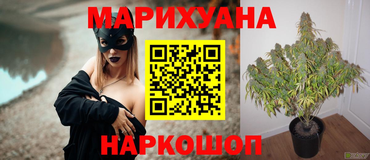 Каннабис ГИДРОПОН Михайловка